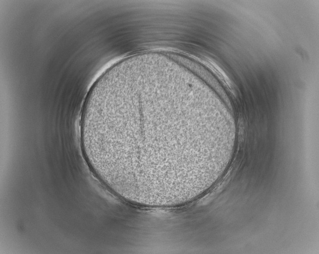 X0000115150814200912081345