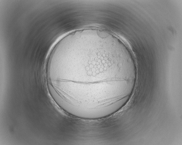 X0000115150816200912081345