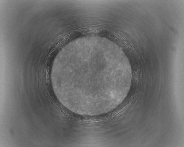 X0000115150818200912081345