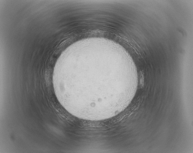 X0000115150819200912081345