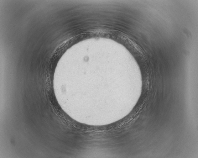 X0000115150821200912081345