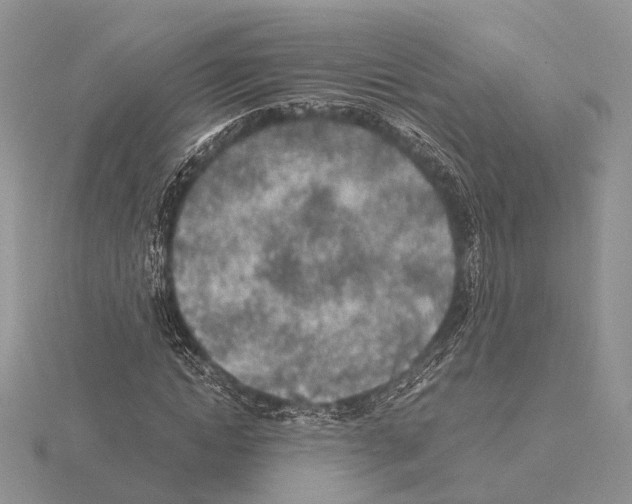 X0000115150822200912081345