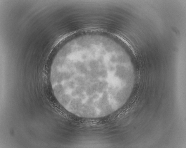 X0000115150823200912081345