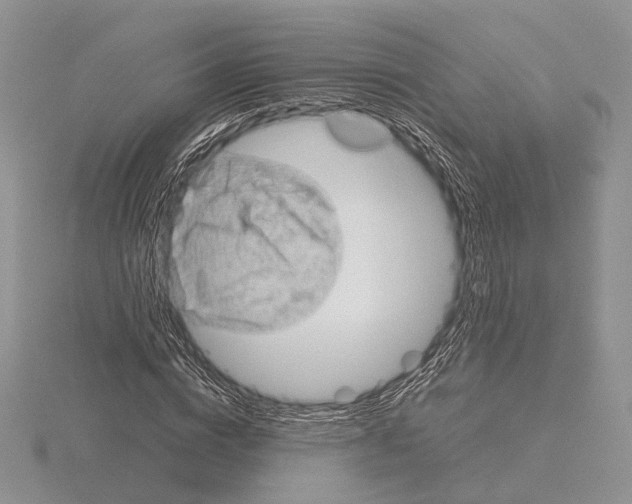 X0000115150824200912081345