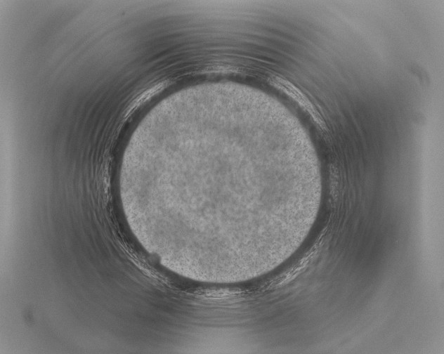 X0000115150826200912081345