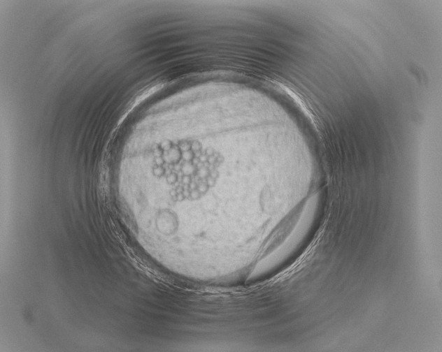 X0000115150827200912081345