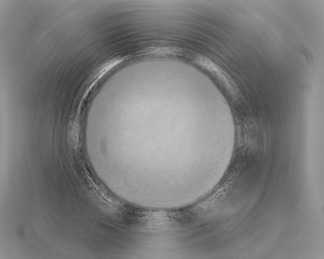 X0000115150828200912081345