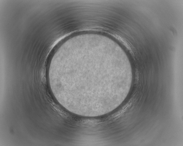 X0000115150830200912081345