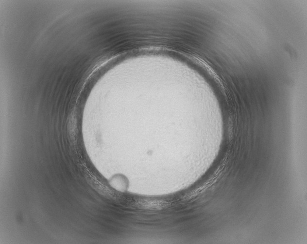 X0000115150831200912081345