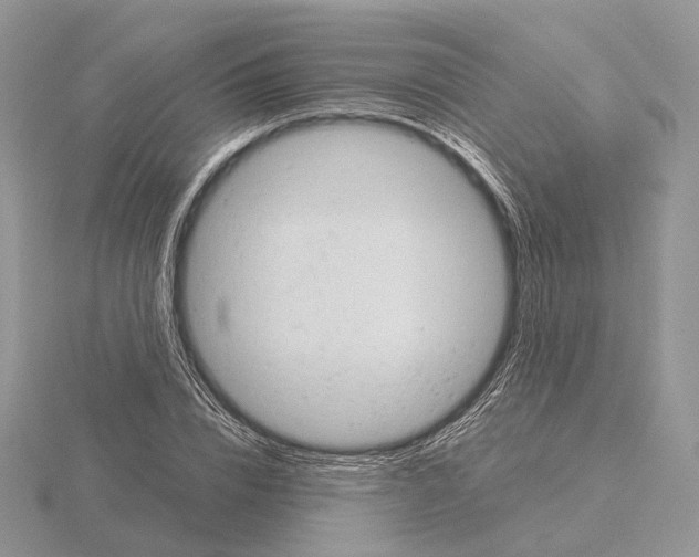 X0000115150832200912081345