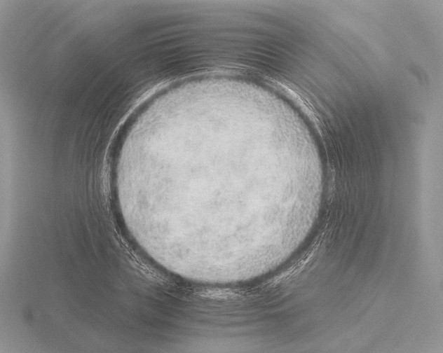 X0000115150835200912081345