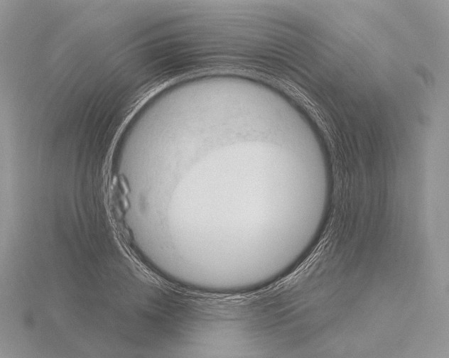 X0000115150836200912081345