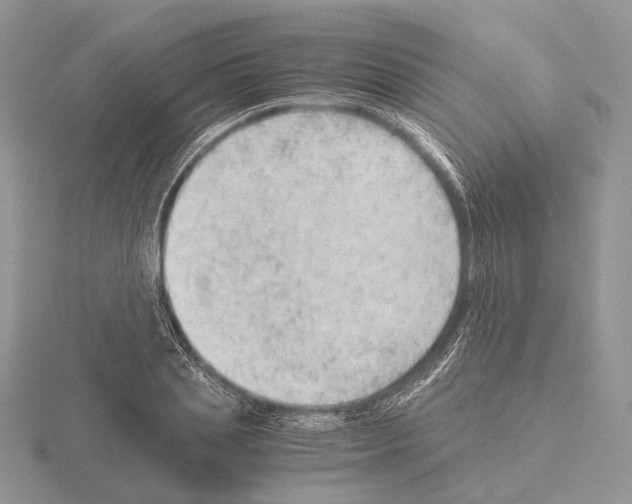 X0000115150837200912081345