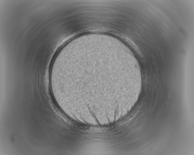 X0000115150840200912081345