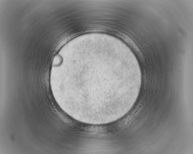 X0000115150842200912081345