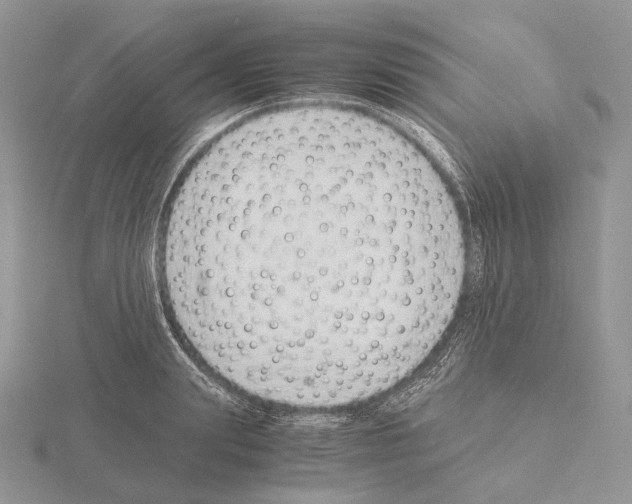 X0000115150847200912081345