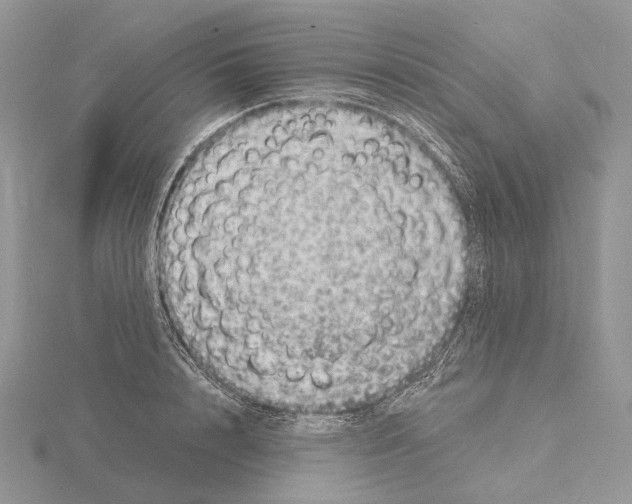 X0000115150848200912081345