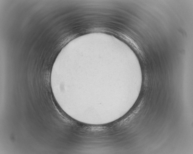 X0000115150849200912081345