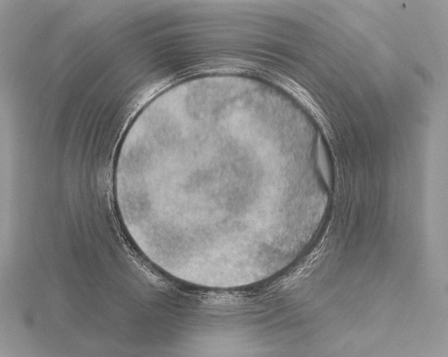 X0000115150850200912081345