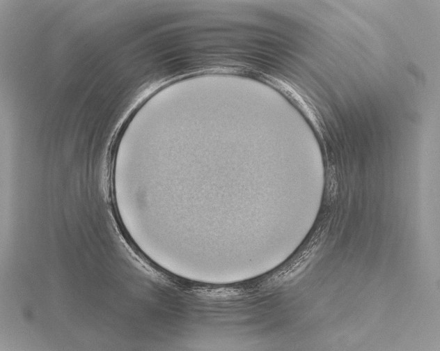 X0000115150851200912081345