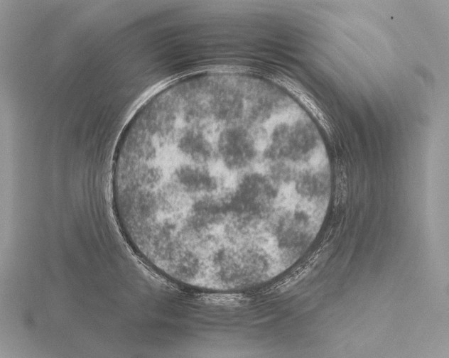 X0000115150853200912081345