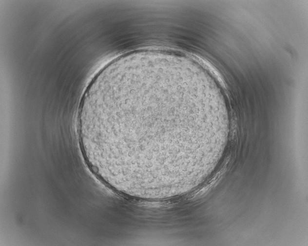 X0000115150855200912081345