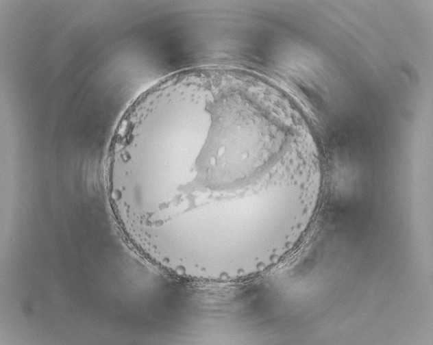 X0000115150856200912081345