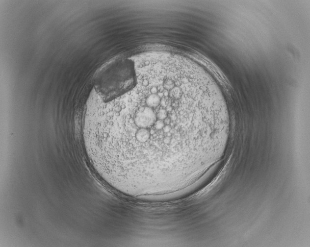 X0000115150857200912081345