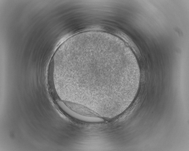 X0000115150858200912081345