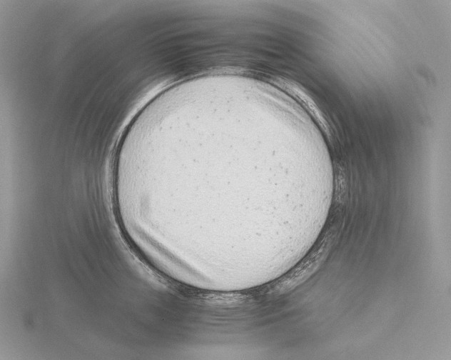 X0000115150859200912081345