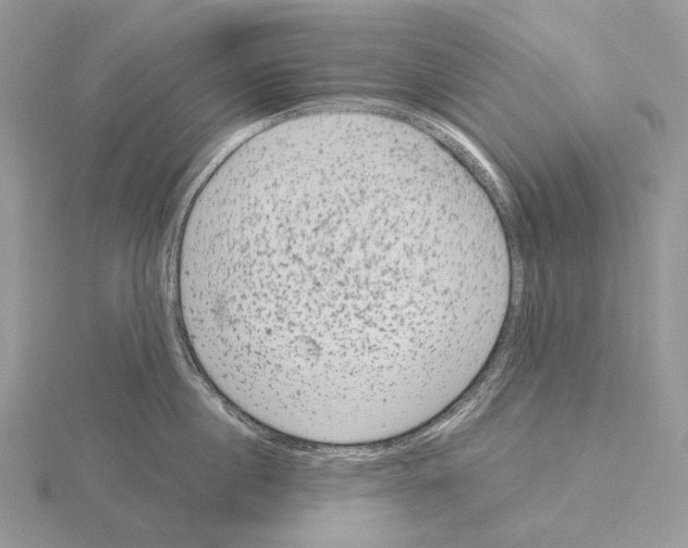 X0000115150860200912081345