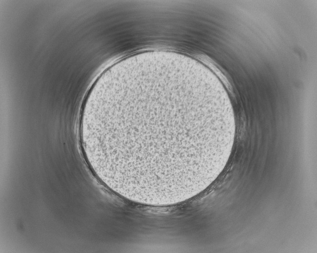 X0000115150861200912081345