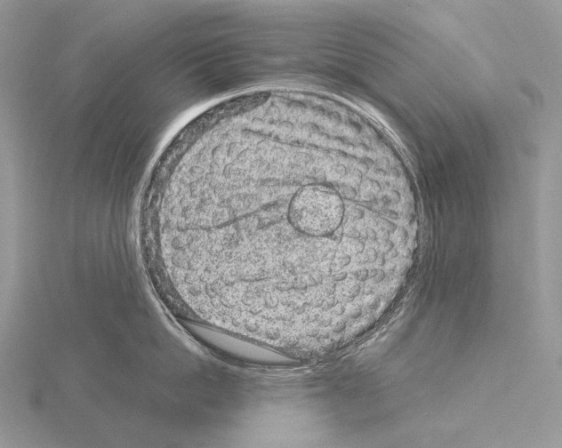 X0000115150862200912081345