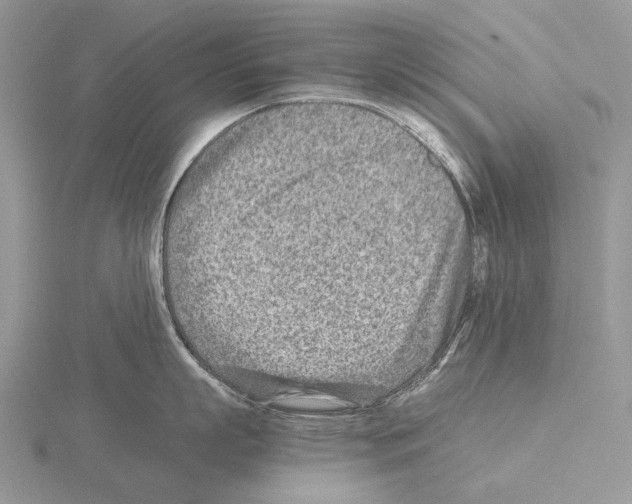 X0000115150863200912081345