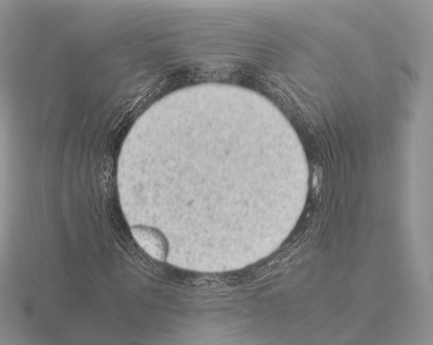 X0000115150867200912081345