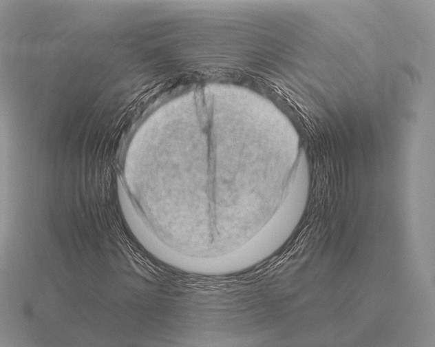 X0000115150868200912081344