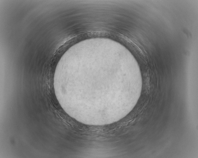 X0000115150870200912081344