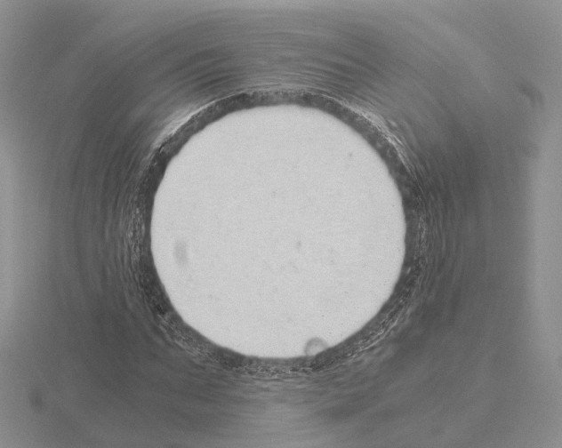 X0000115150871200912081344