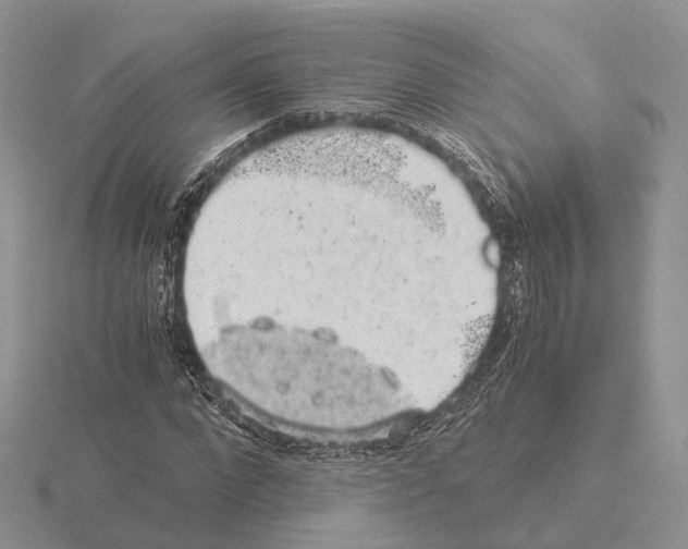 X0000115150872200912081344