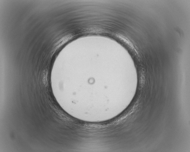 X0000115150873200912081344