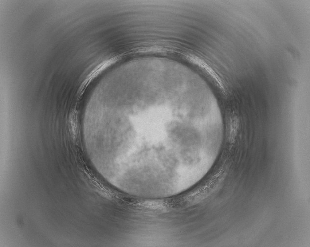 X0000115150874200912081344