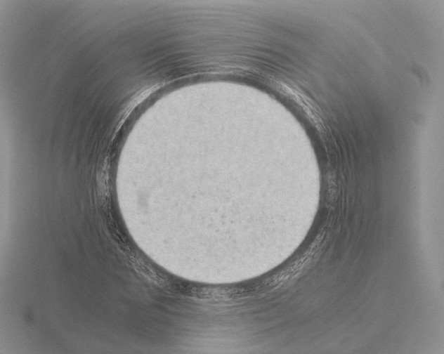 X0000115150875200912081344