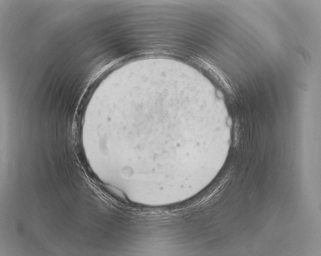 X0000115150876200912081344