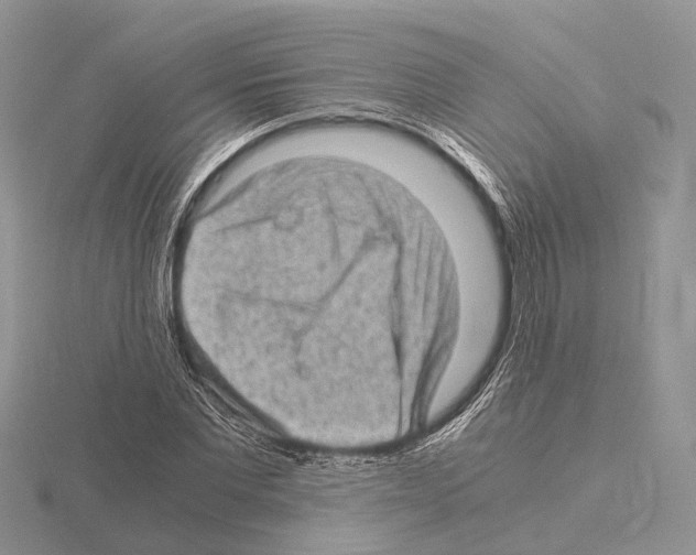 X0000115150877200912081344