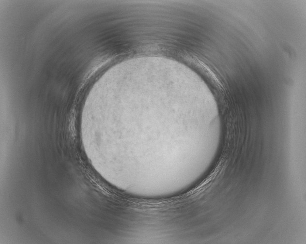 X0000115150878200912081344