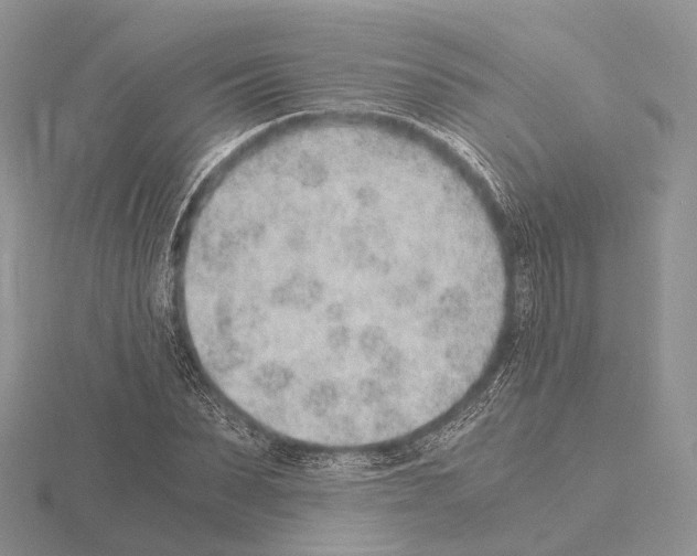 X0000115150879200912081344