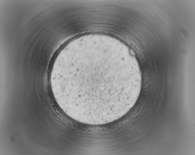 X0000115150880200912081344