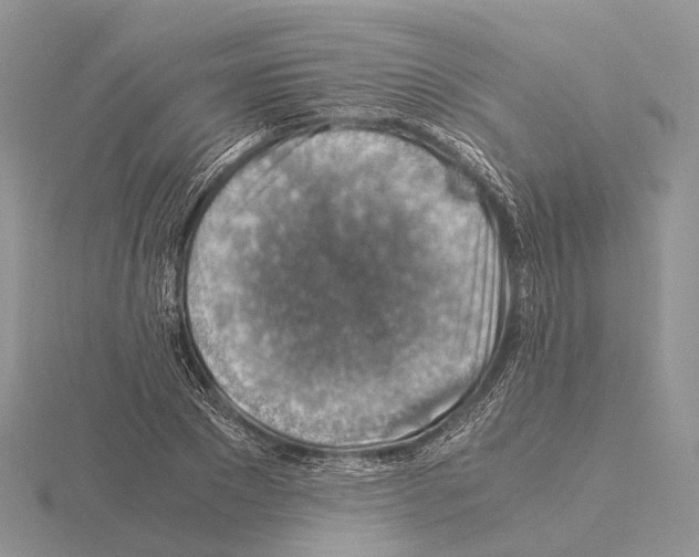 X0000115150881200912081344