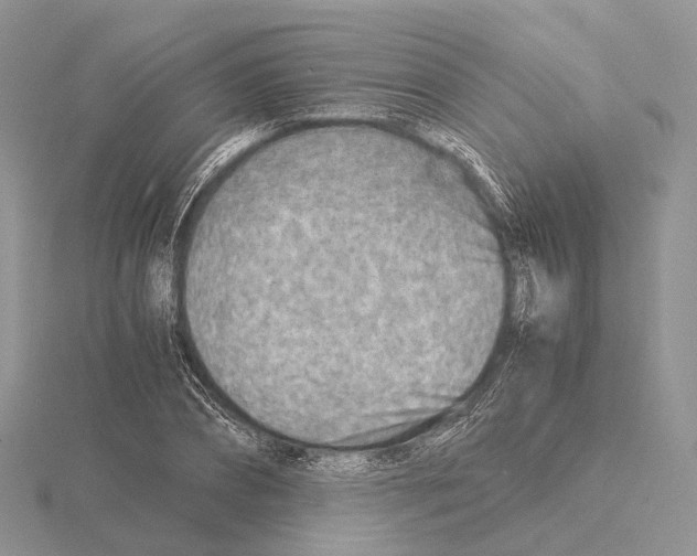 X0000115150882200912081344