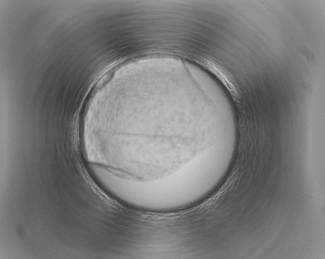 X0000115150884200912081344